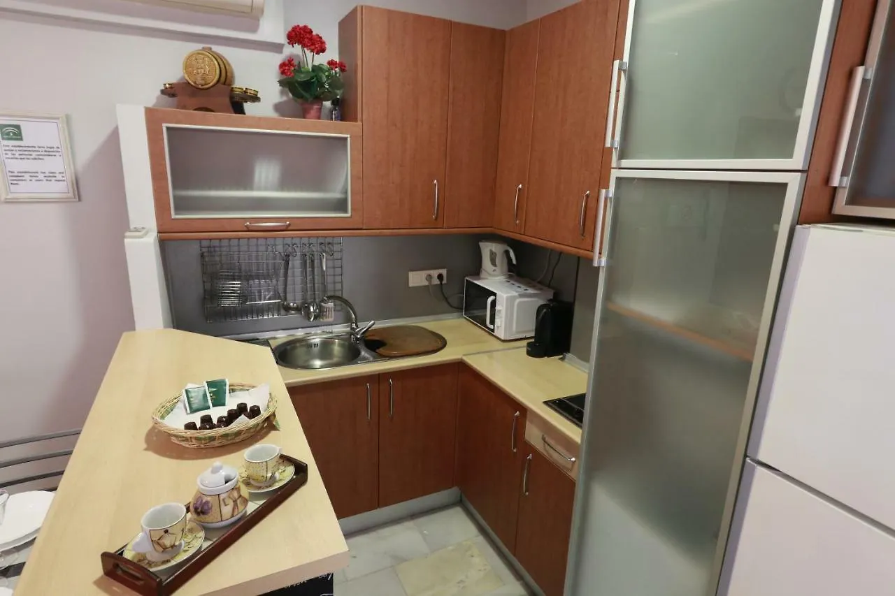 Apartamento Pleno Centro, Plaza Cristo De Burgos Apartment Seville Spain